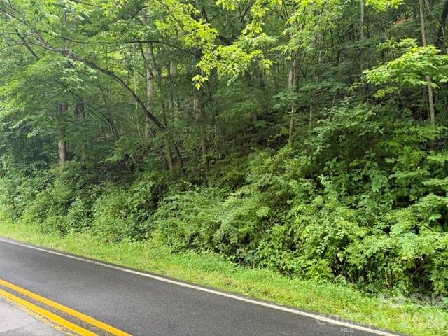 Tbd Meadow Fork Road Property Photo 6