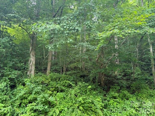 Tbd Meadow Fork Road Property Photo 7