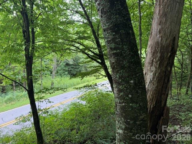 Tbd Meadow Fork Road Property Photo 8
