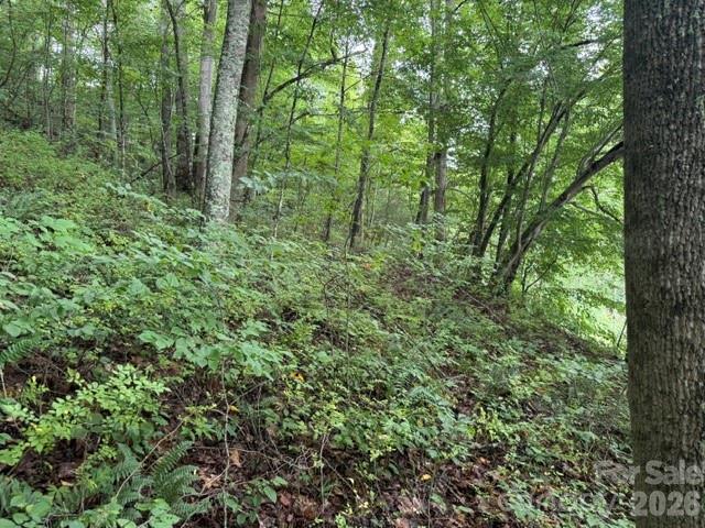 Tbd Meadow Fork Road Property Photo 9