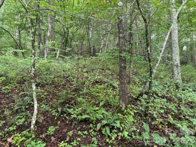 Tbd Meadow Fork Road Property Photo 10