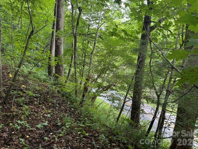 Tbd Meadow Fork Road Property Photo 11