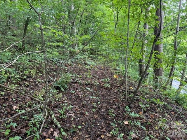 Tbd Meadow Fork Road Property Photo 12