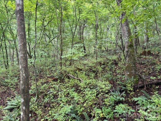Tbd Meadow Fork Road Property Photo 14