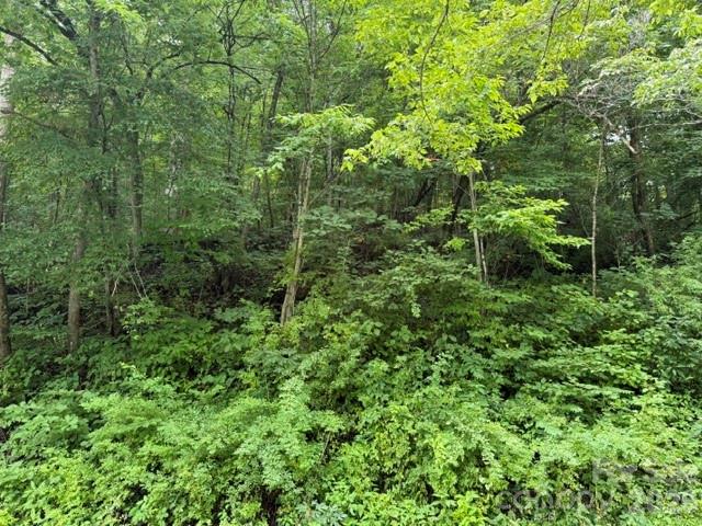 Tbd Meadow Fork Road Property Photo 15