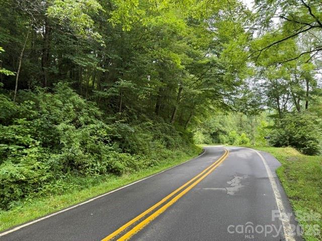 Tbd Meadow Fork Road Property Photo 16