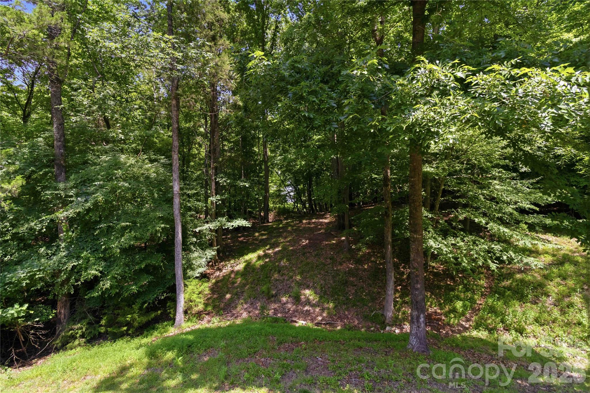 280 Catawba Crest Lane Property Photo 35