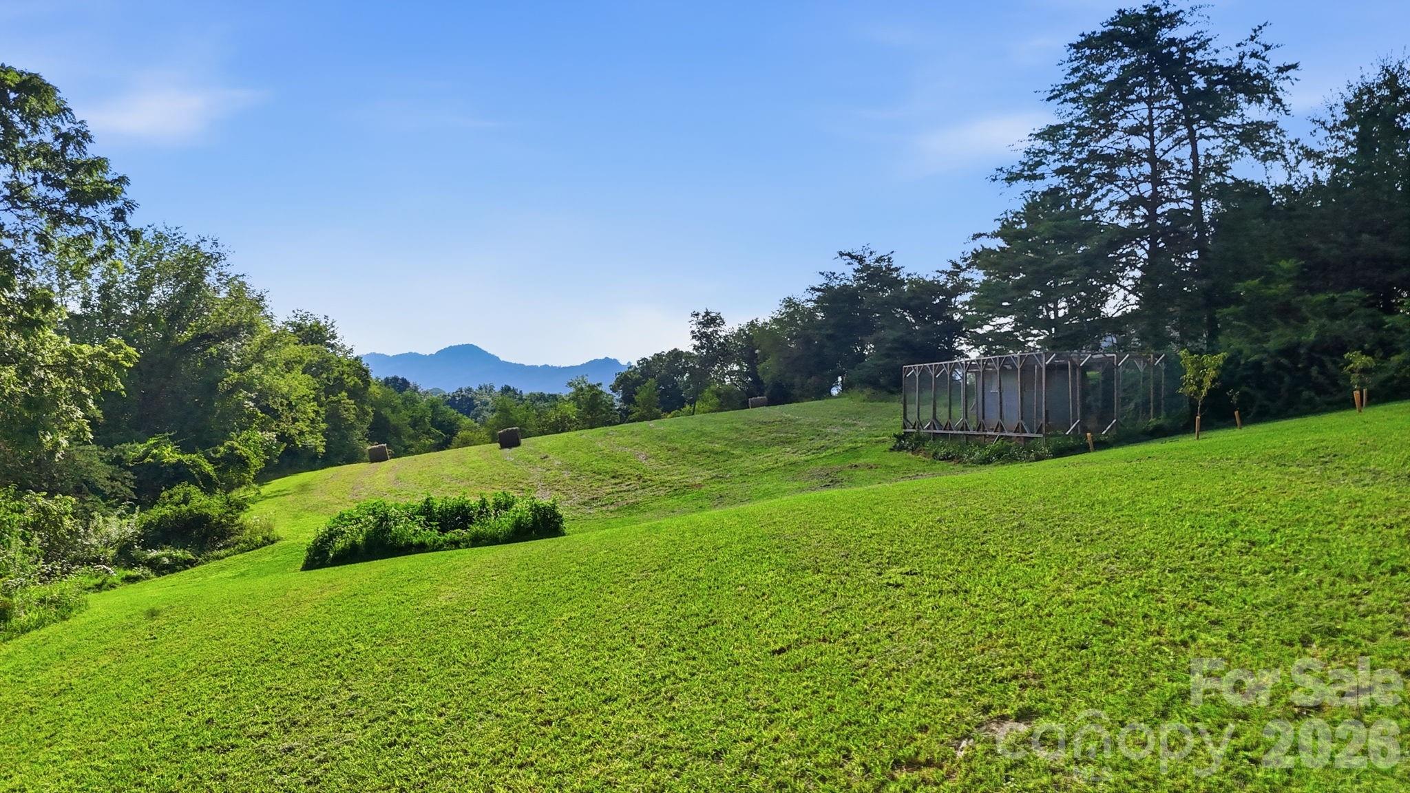 1686 Dutch Cove Road Property Photo 6