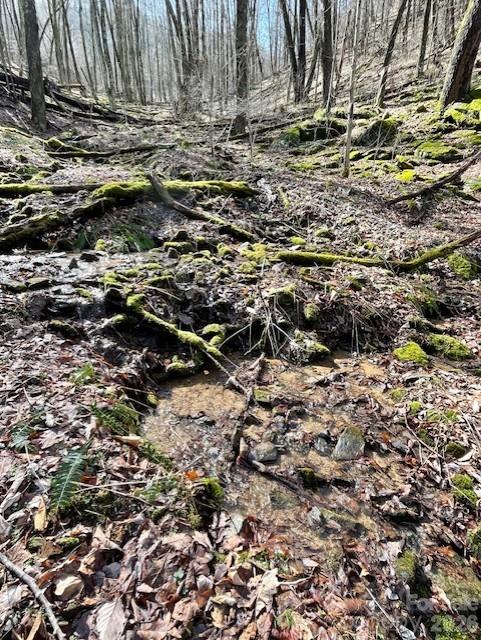 106 Avalon Gap Trail Property Photo 1
