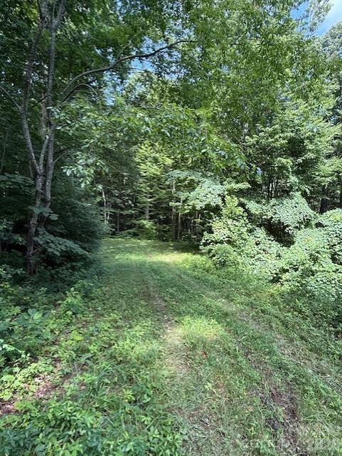 106 Avalon Gap Trail Property Photo 2
