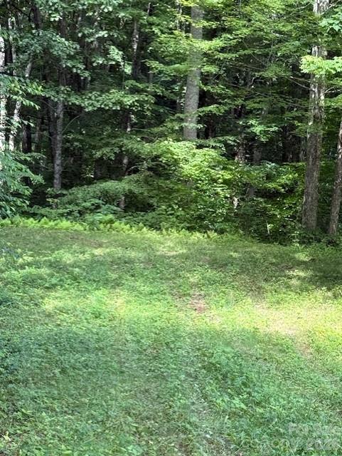 106 Avalon Gap Trail Property Photo 3