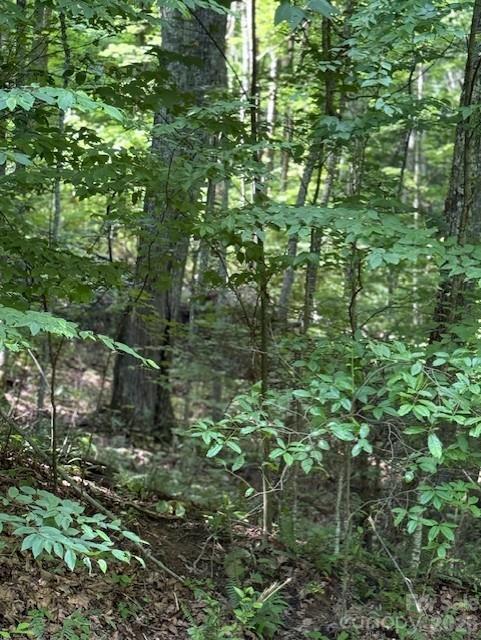 106 Avalon Gap Trail Property Photo 4