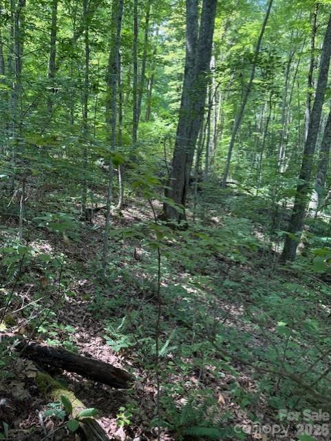 106 Avalon Gap Trail Property Photo 5