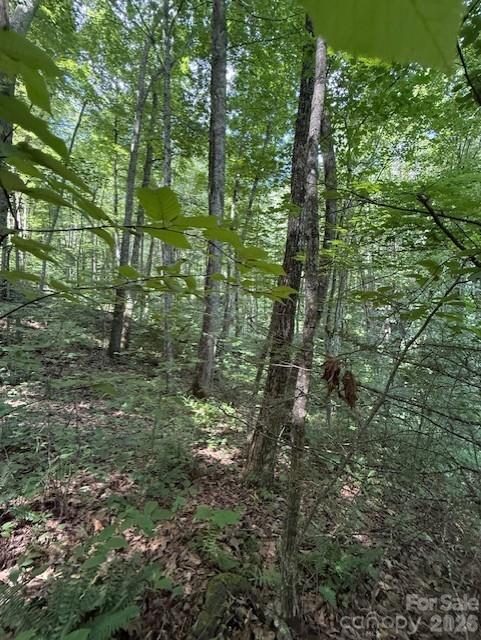 106 Avalon Gap Trail Property Photo 7