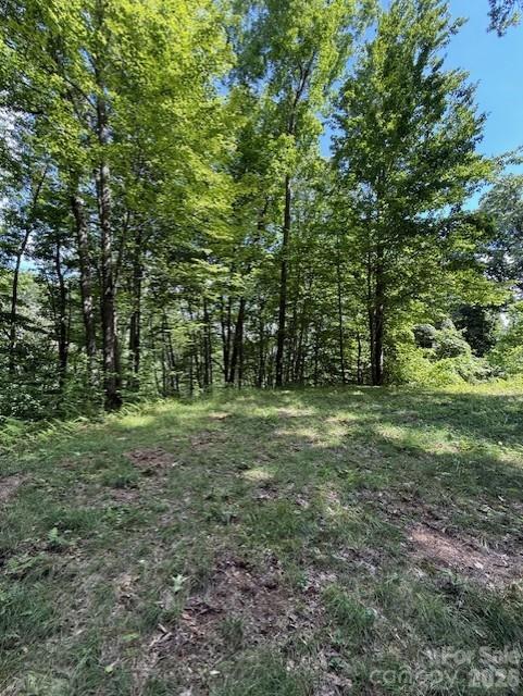 106 Avalon Gap Trail Property Photo 8
