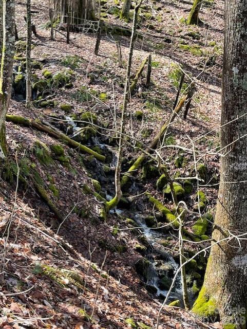 106 Avalon Gap Trail Property Photo 10