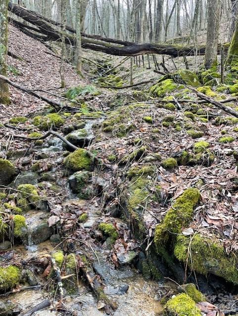 106 Avalon Gap Trail Property Photo 11