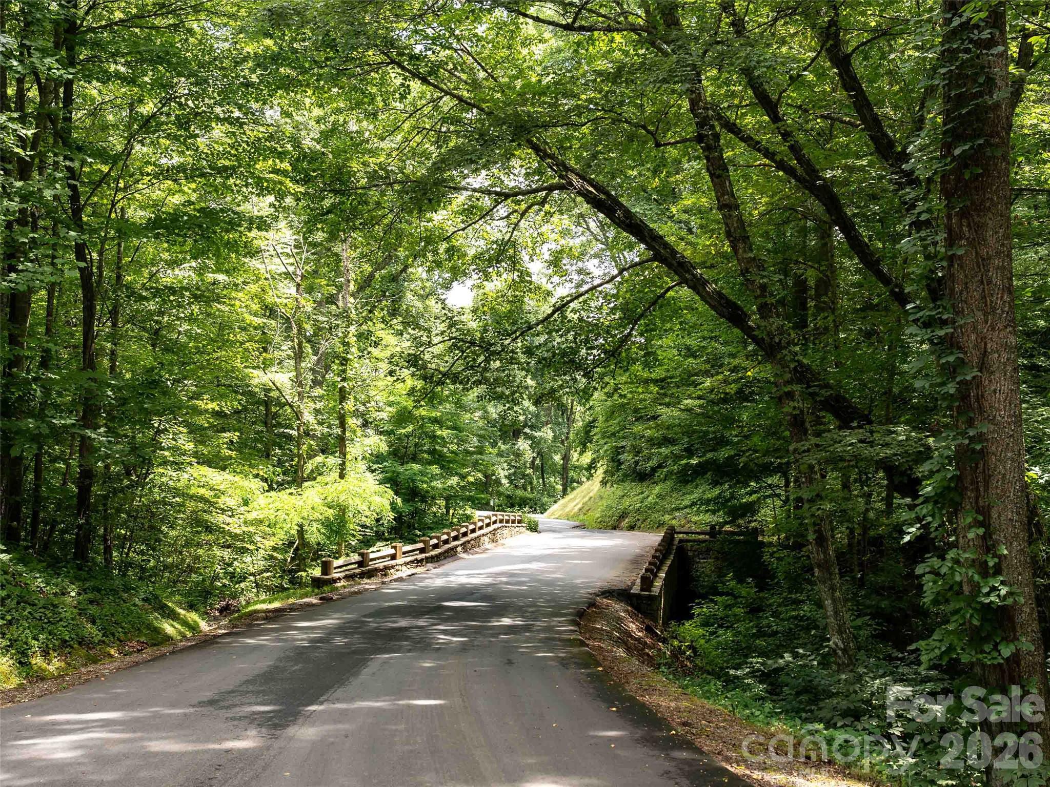 106 Avalon Gap Trail Property Photo 12