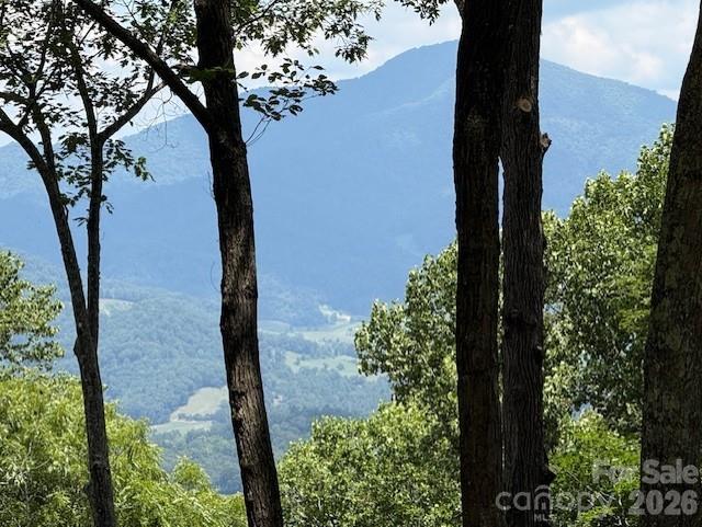 110 Cabin Ridge 110 Property Photo 2
