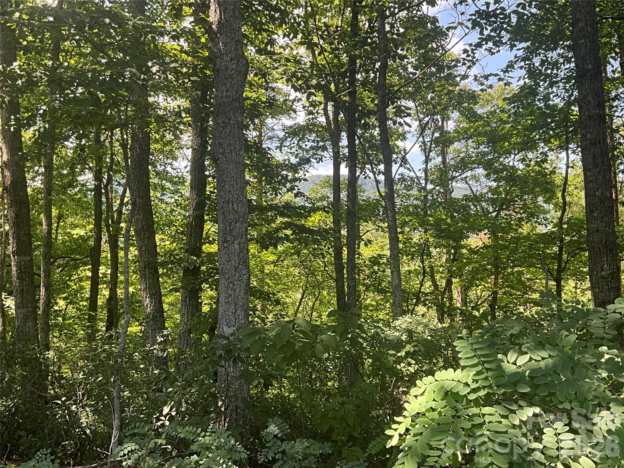 Lot 67 Treetops Lane Property Photo 1