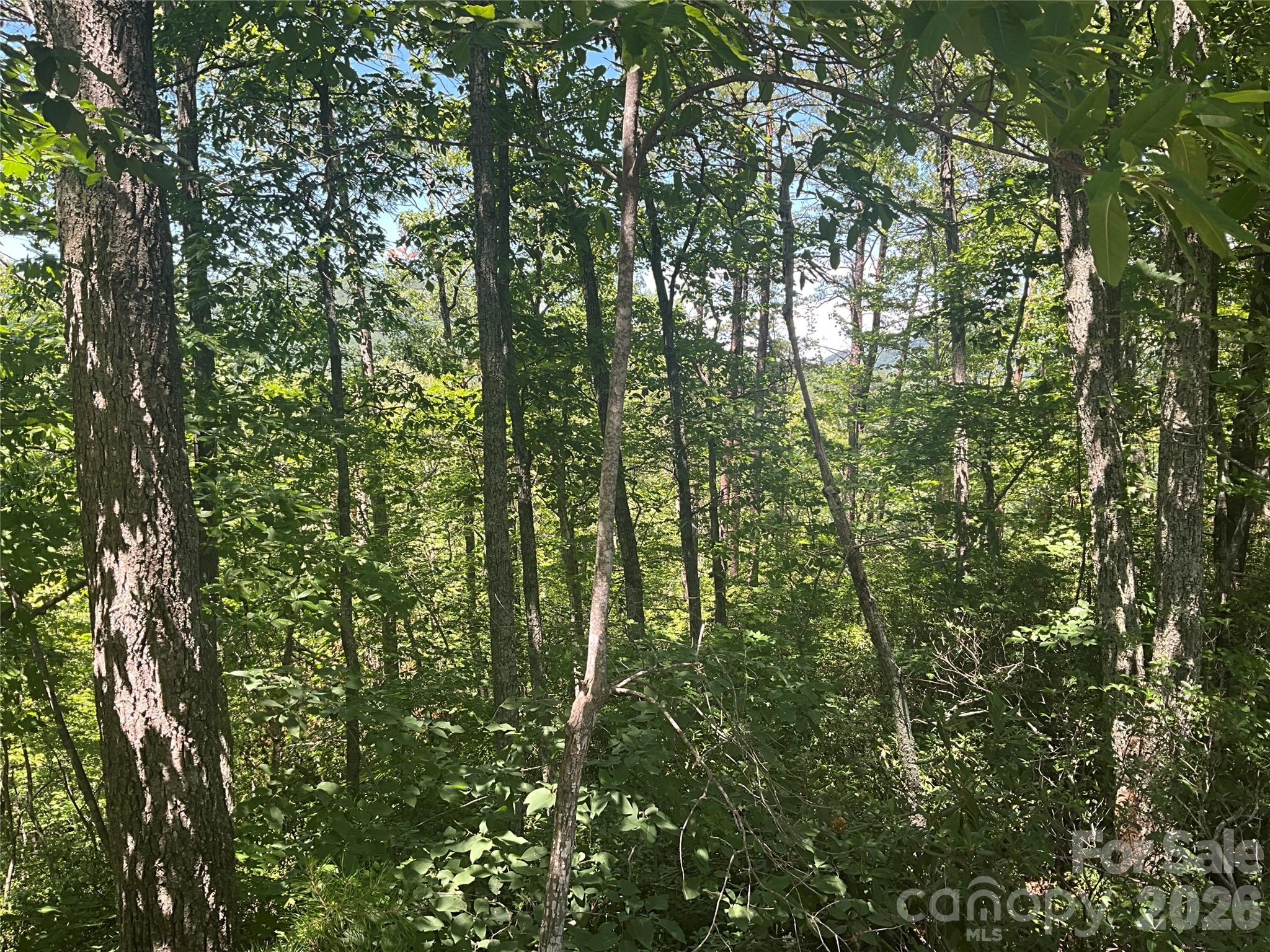 Lot 67 Treetops Lane Property Photo 2