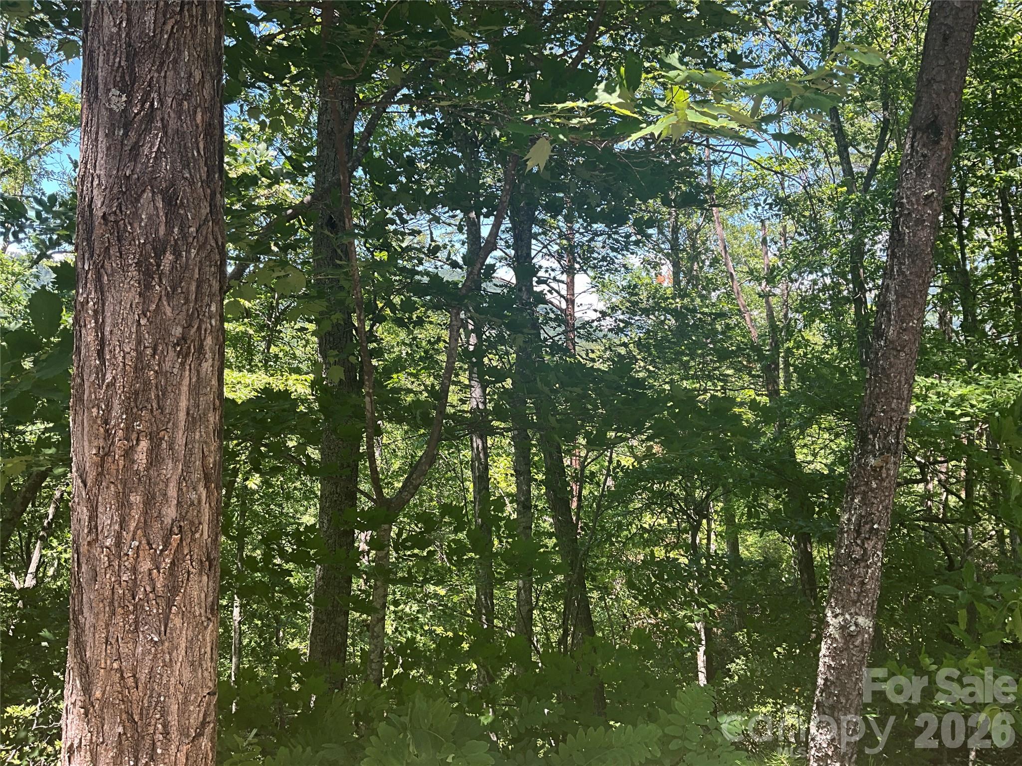 Lot 67 Treetops Lane Property Photo 3