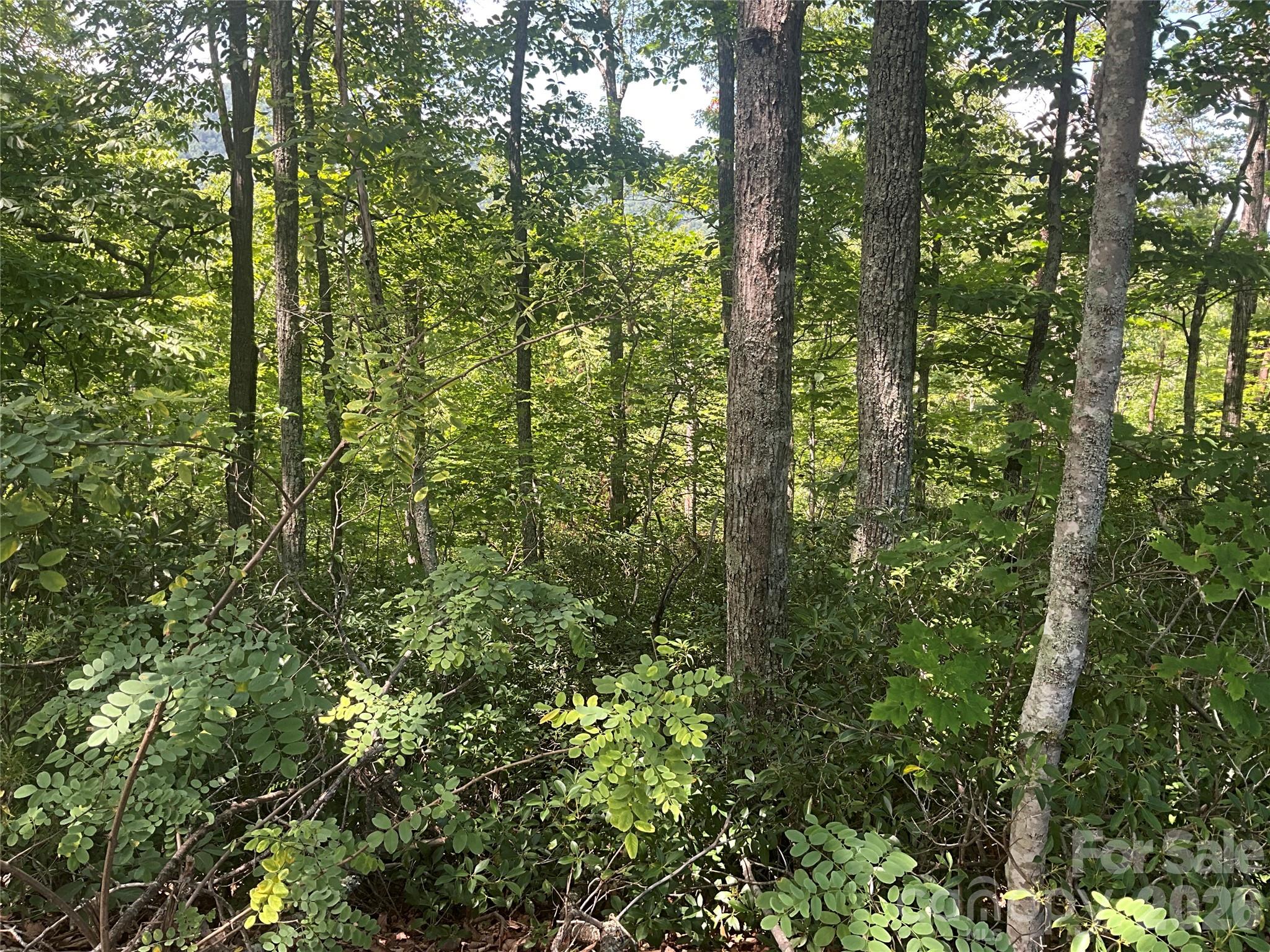 Lot 67 Treetops Lane Property Photo 4