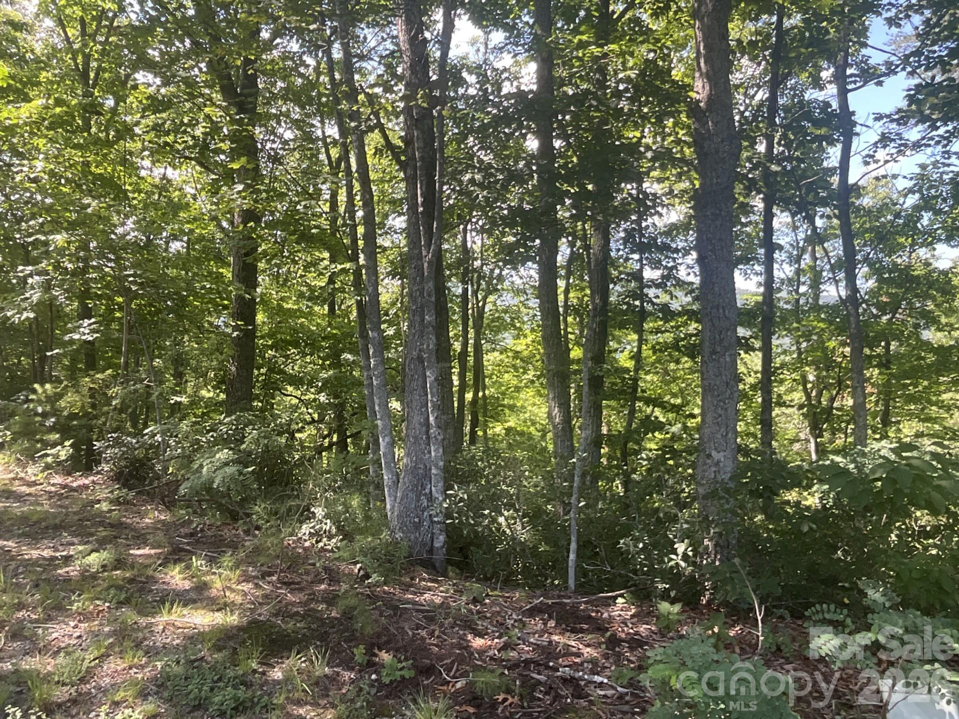 Lot 67 Treetops Lane Property Photo 5