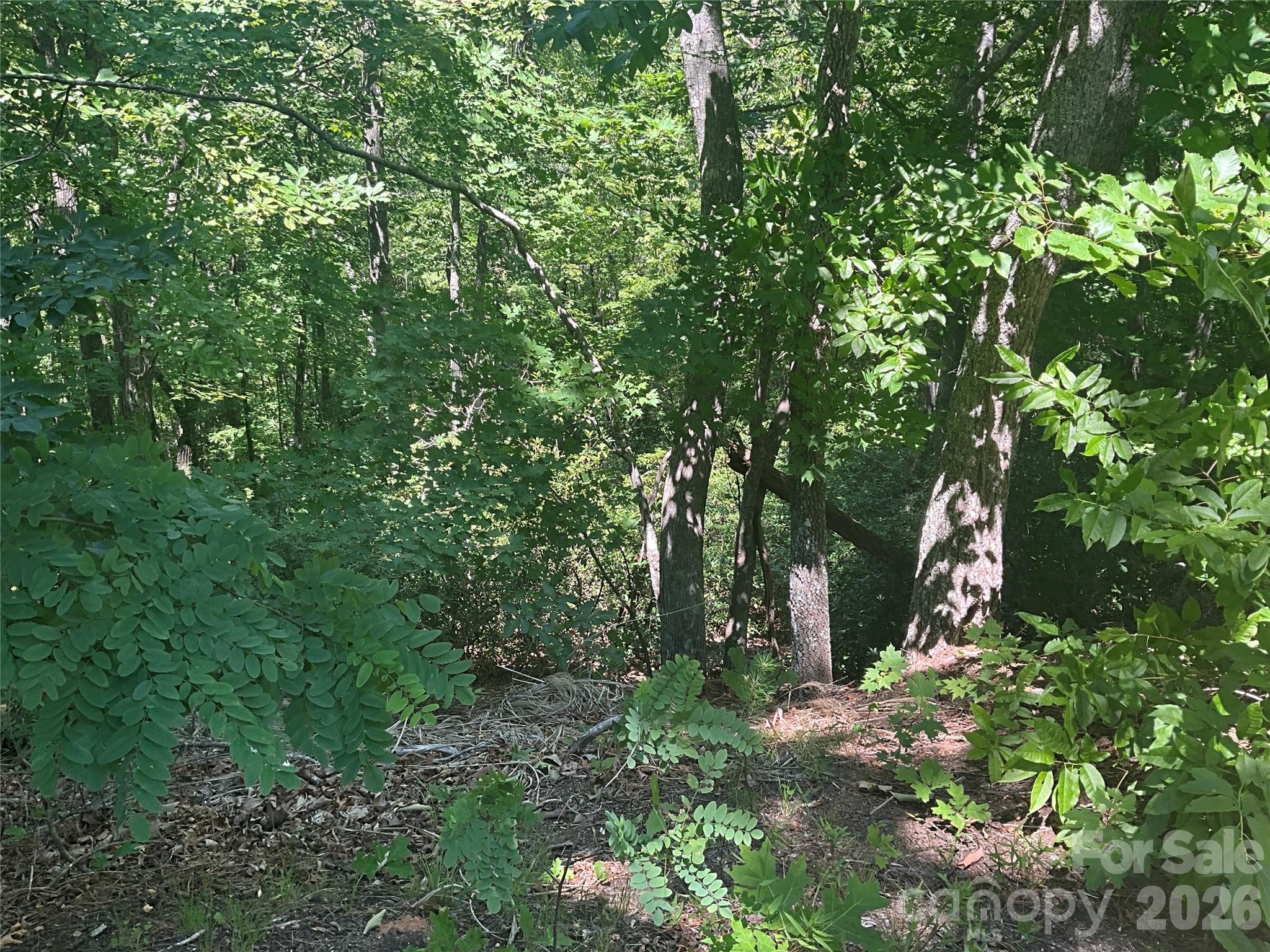 Lot 67 Treetops Lane Property Photo 6