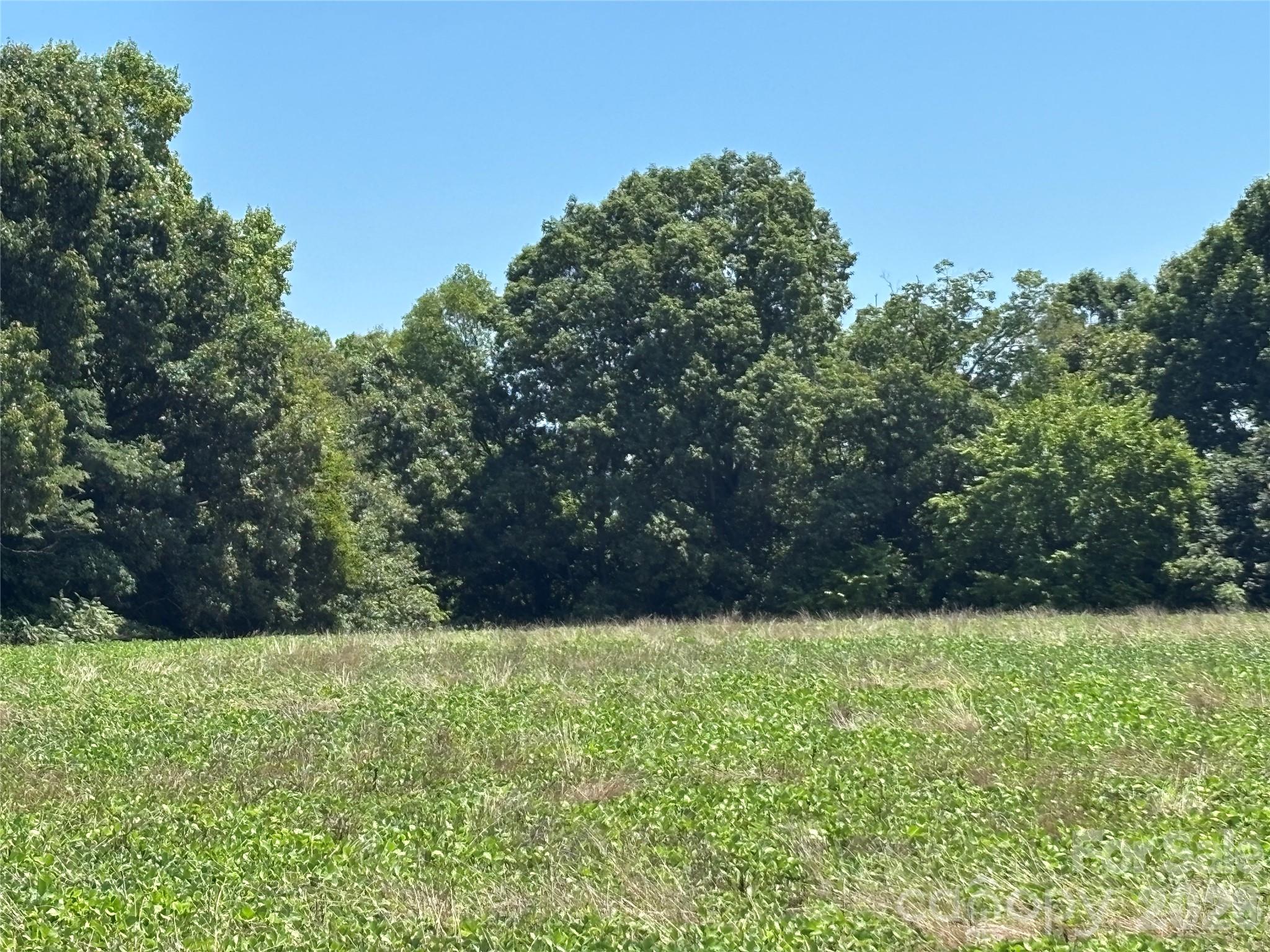 00 Ostwalt Amity Road Property Photo 1