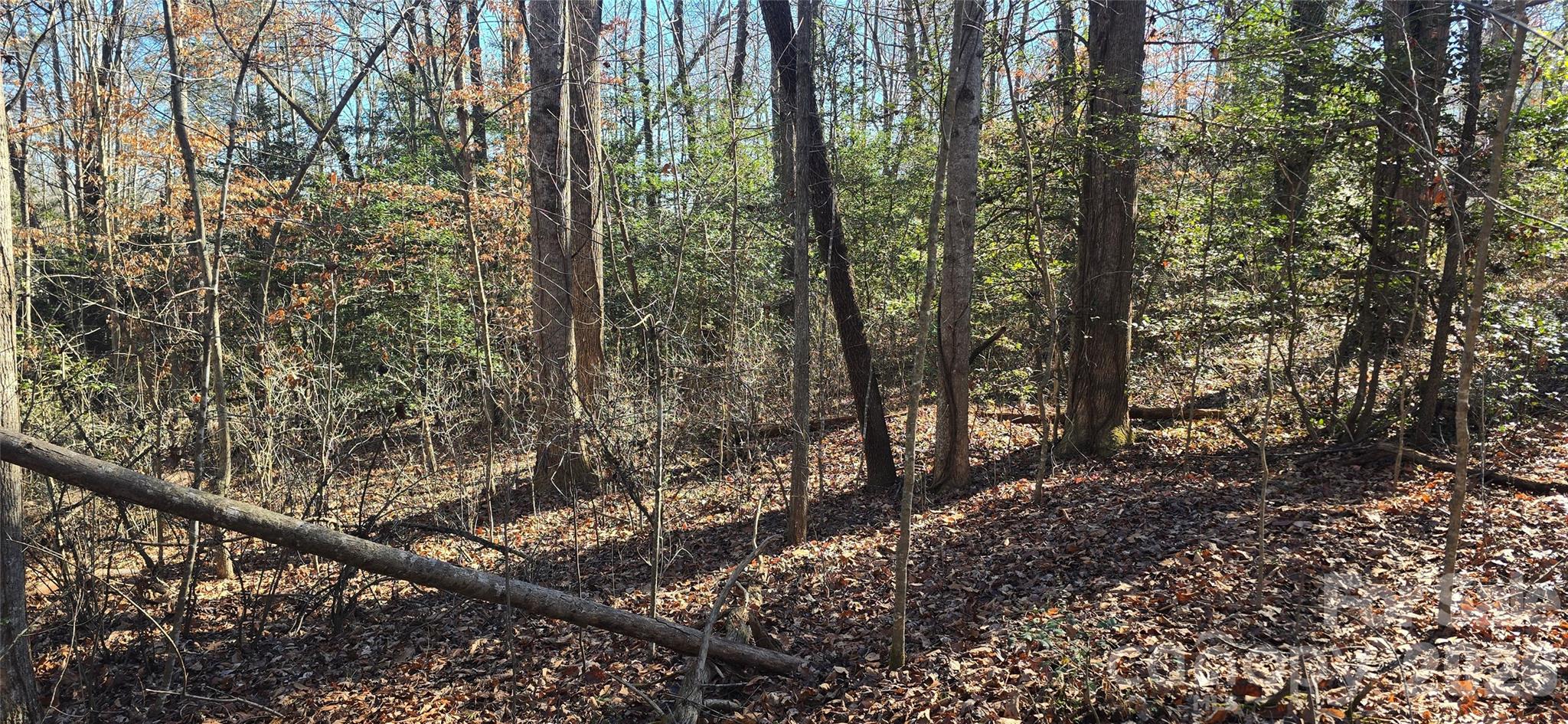 000 Peak Place Property Photo 2