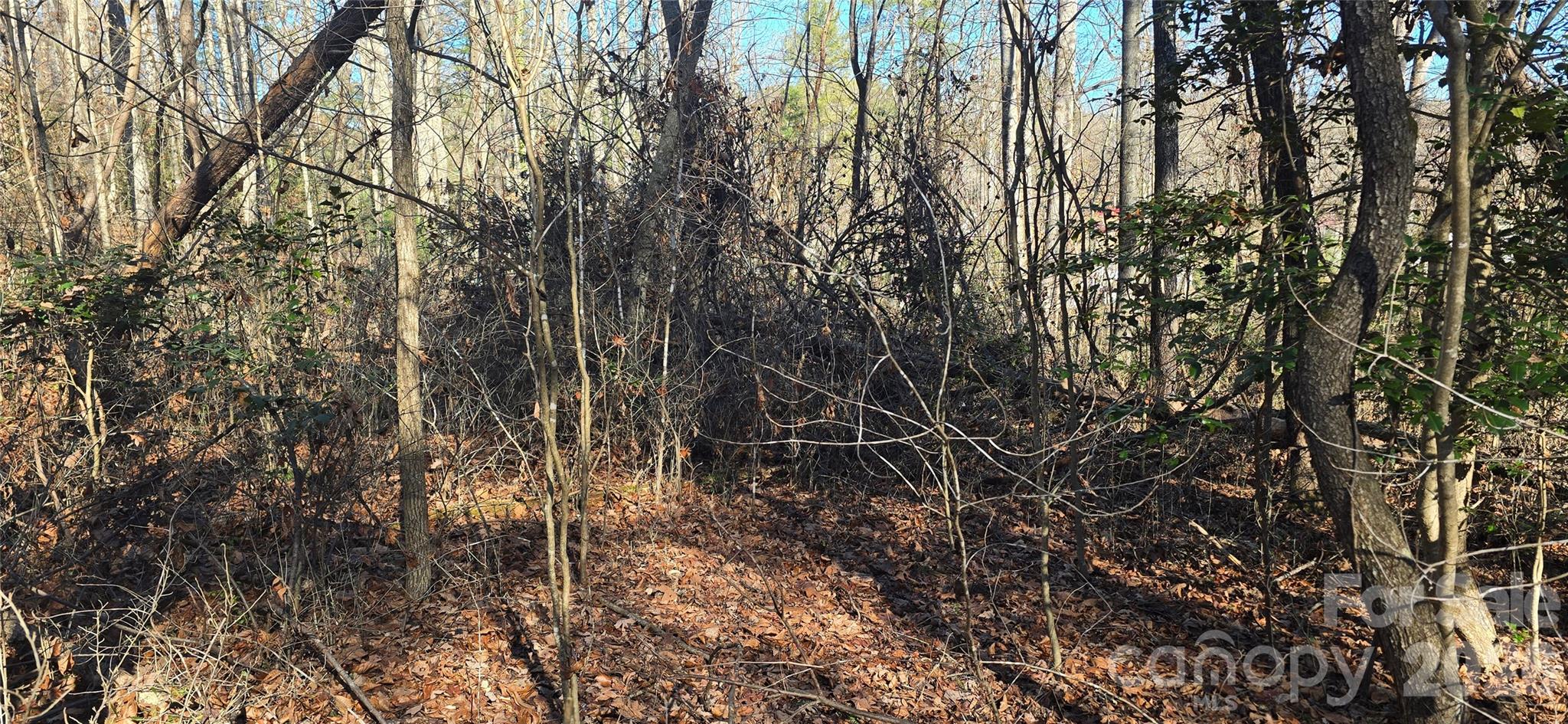 000 Peak Place Property Photo 4