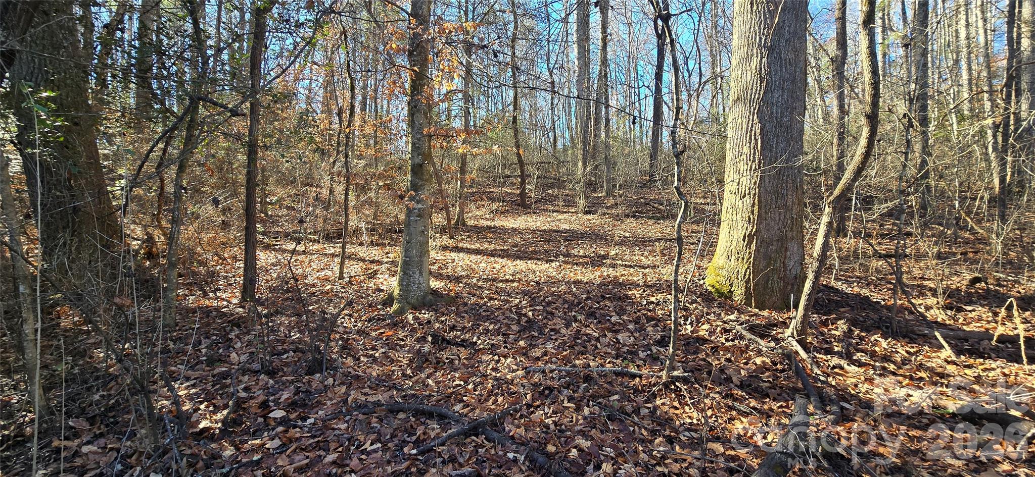 000 Peak Place Property Photo 7