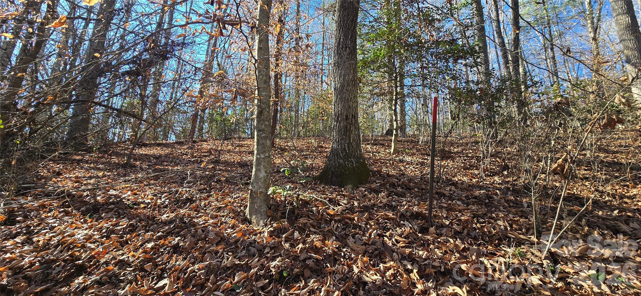000 Peak Place Property Photo 11