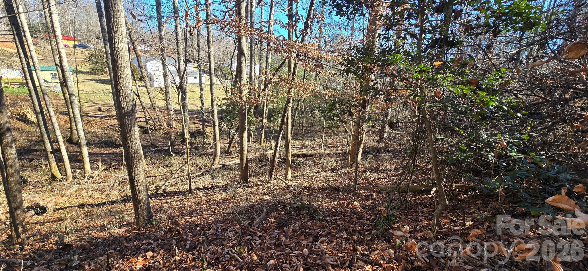 000 Peak Place Property Photo 12
