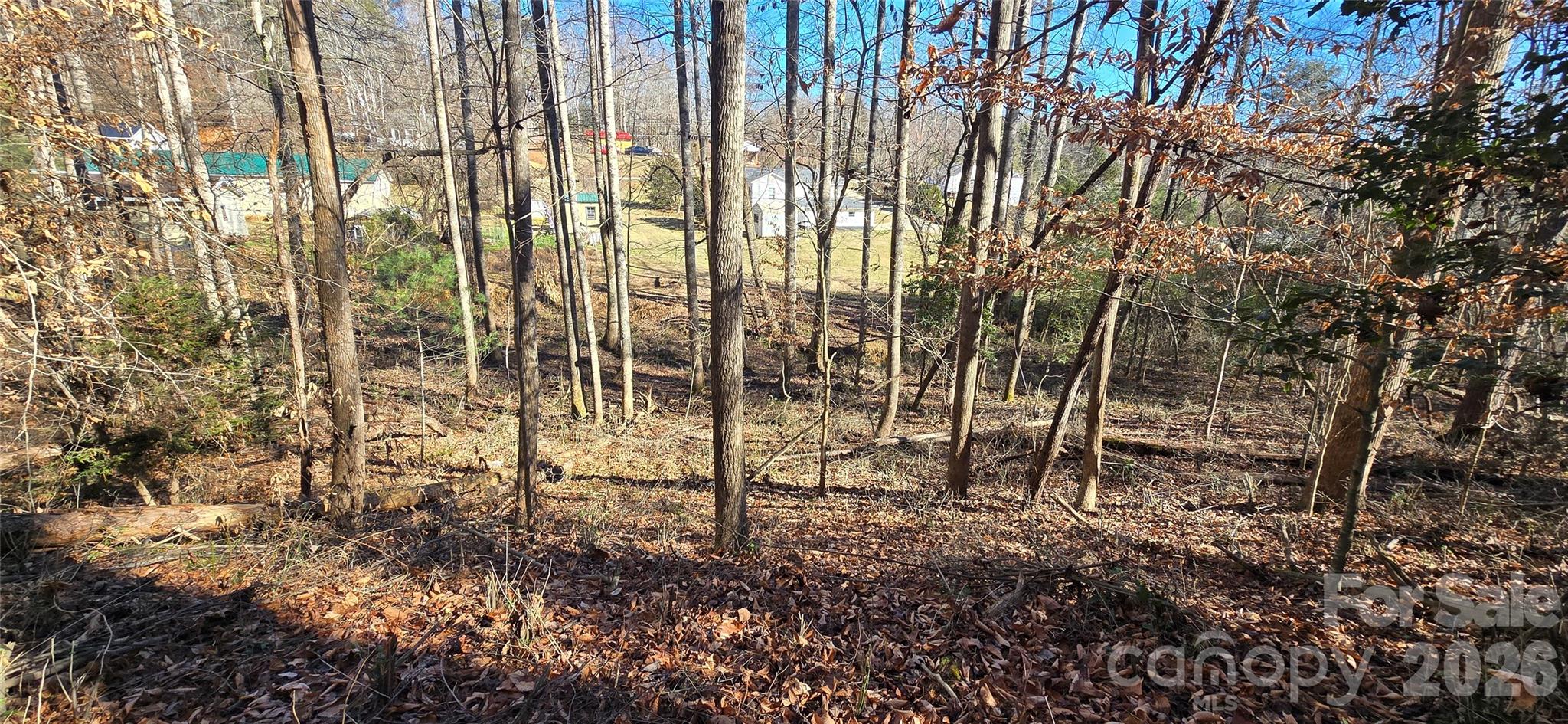000 Peak Place Property Photo 13