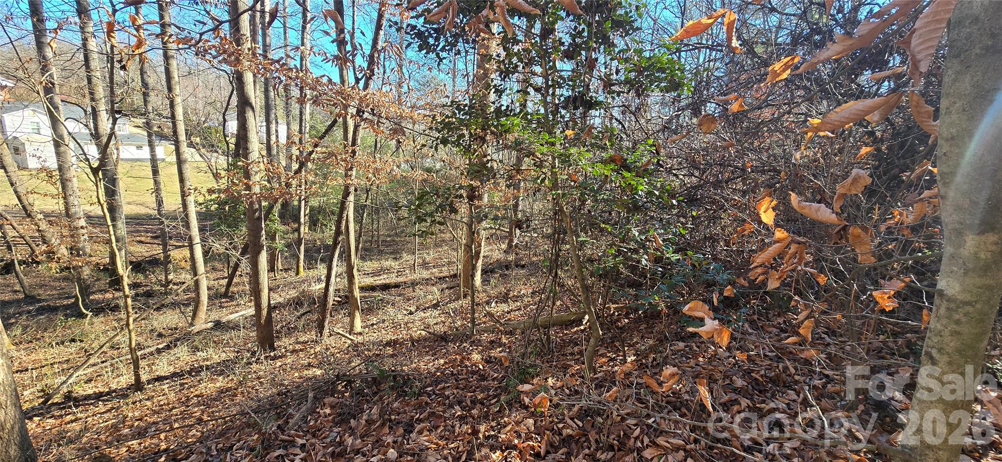 000 Peak Place Property Photo 14