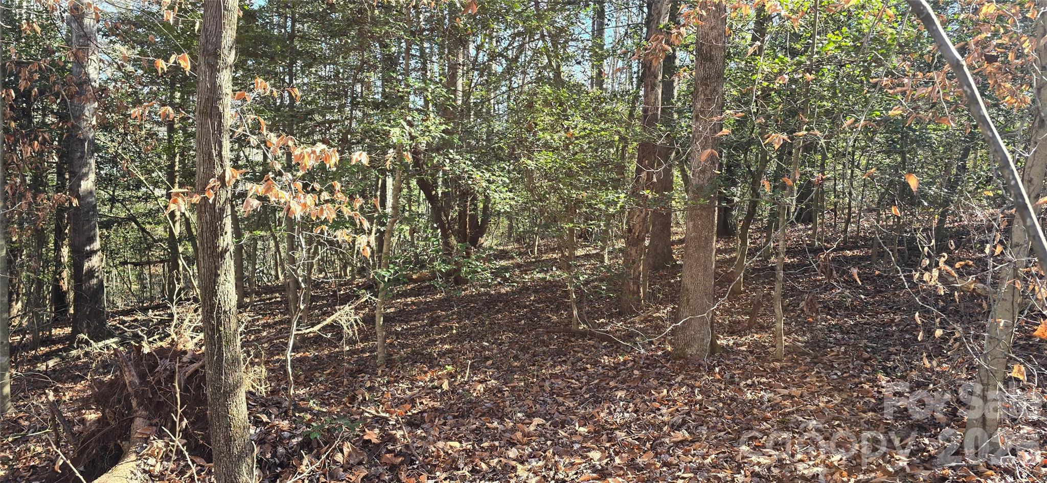 000 Peak Place Property Photo 15
