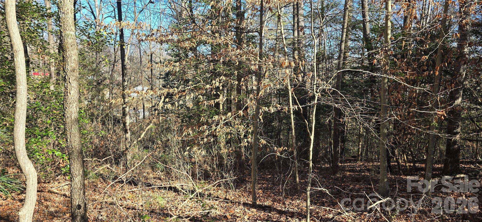 000 Peak Place Property Photo 16