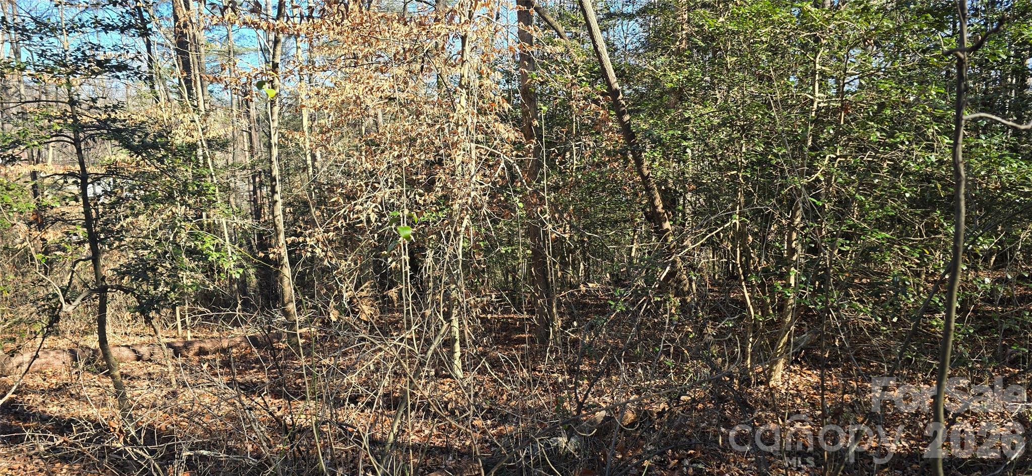 000 Peak Place Property Photo 17