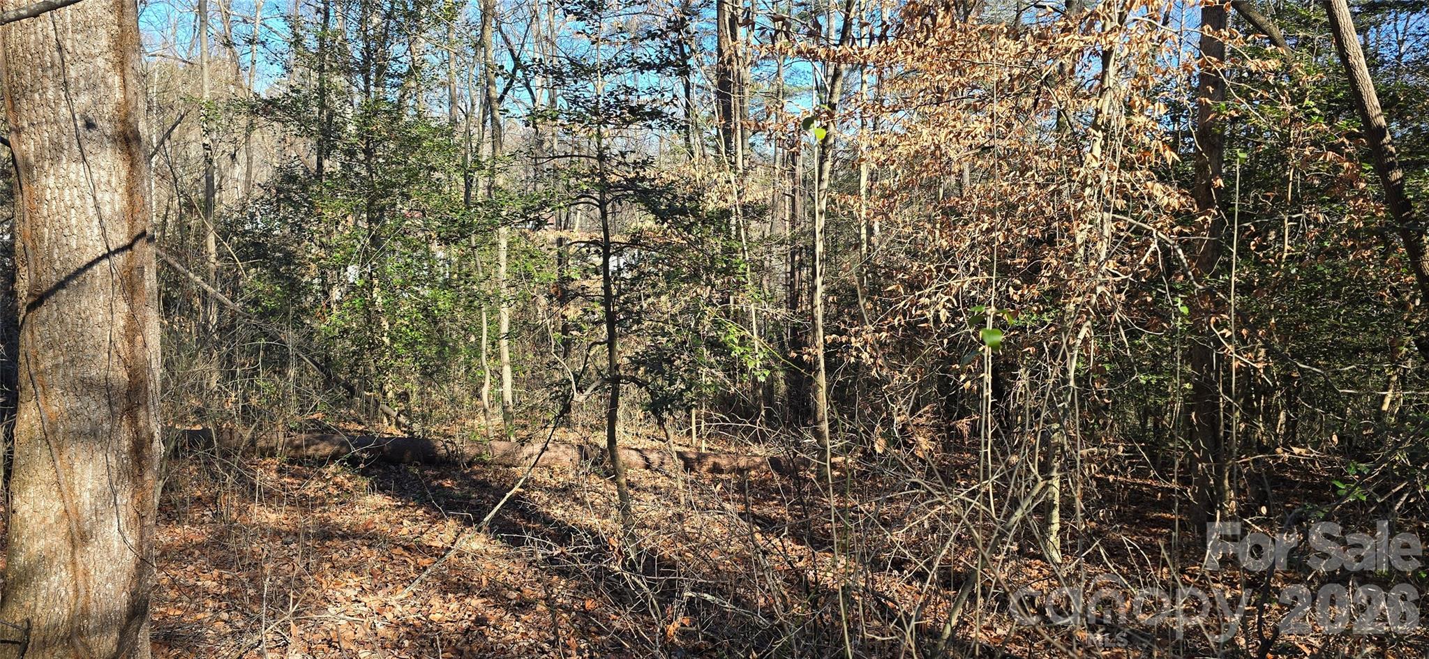 000 Peak Place Property Photo 18