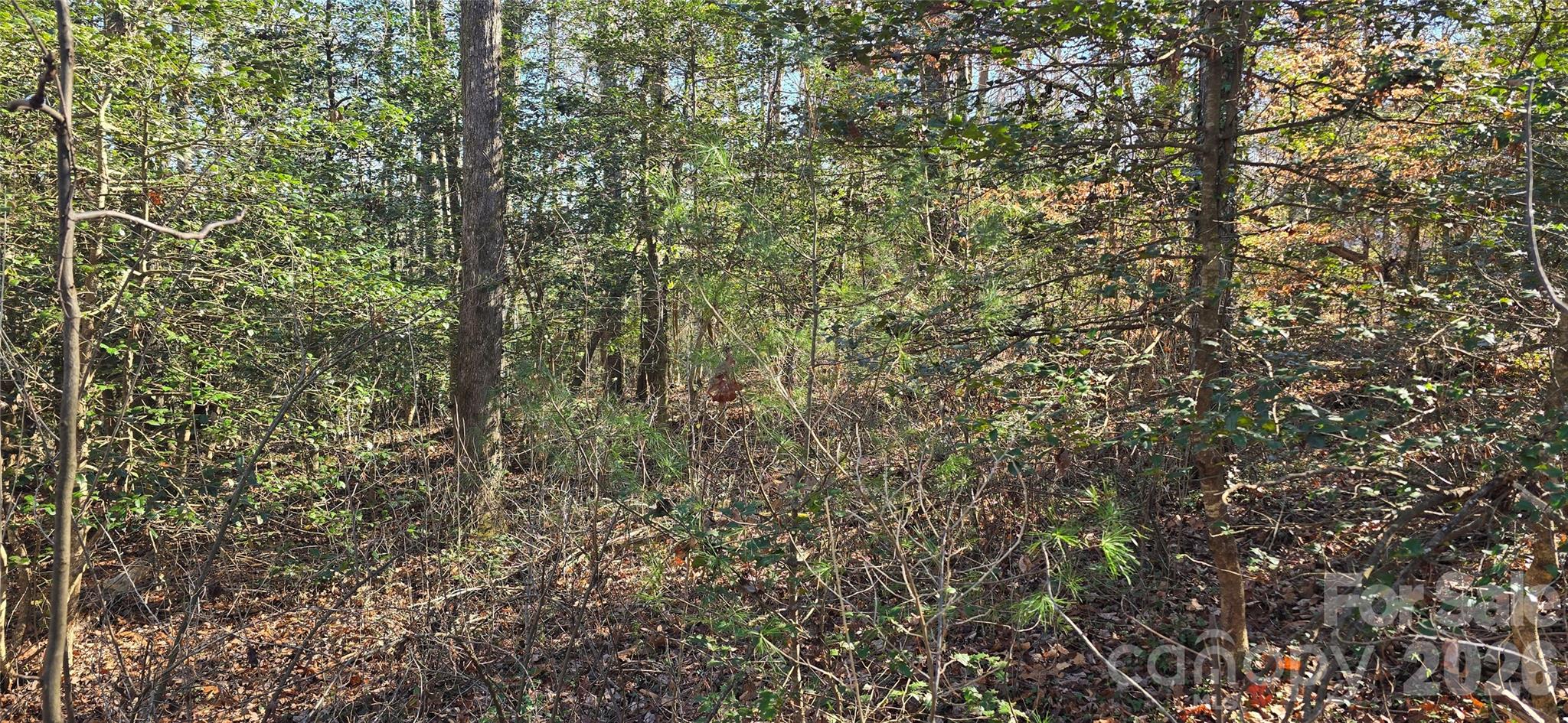 000 Peak Place Property Photo 19