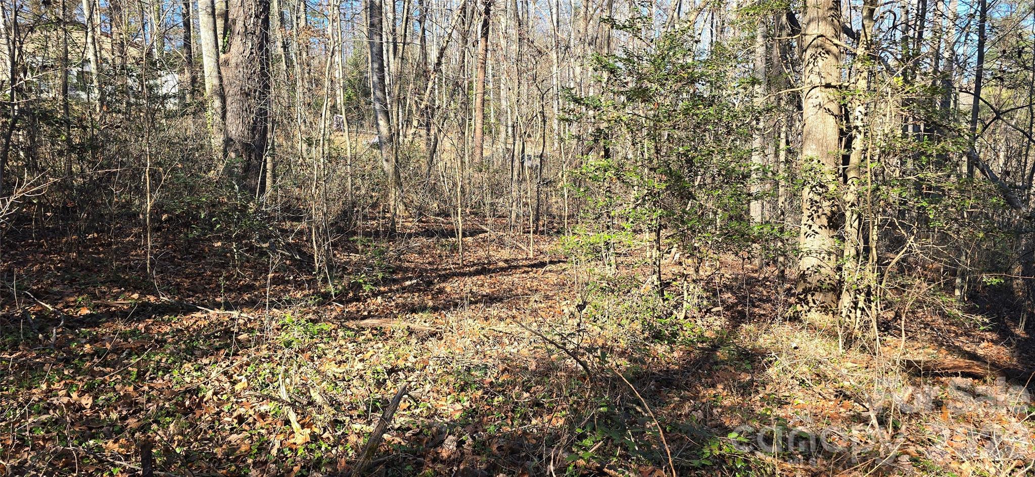 000 Peak Place Property Photo 20