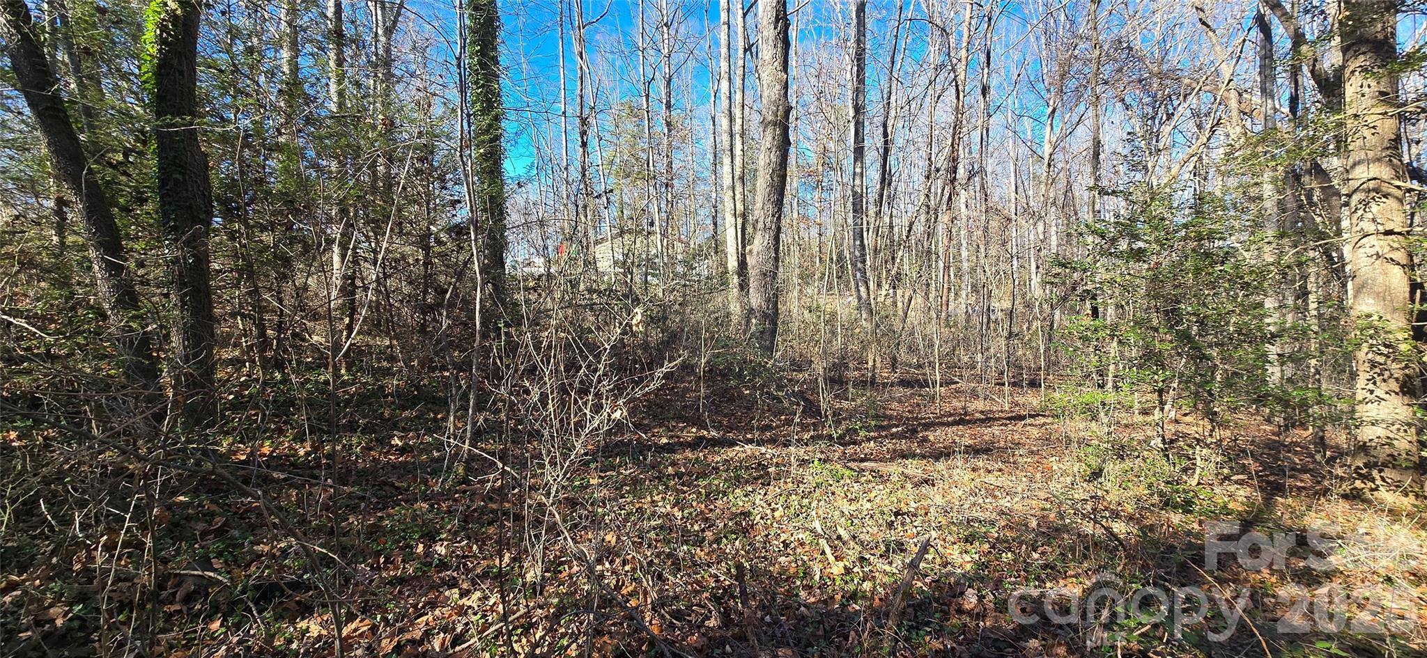 000 Peak Place Property Photo 23