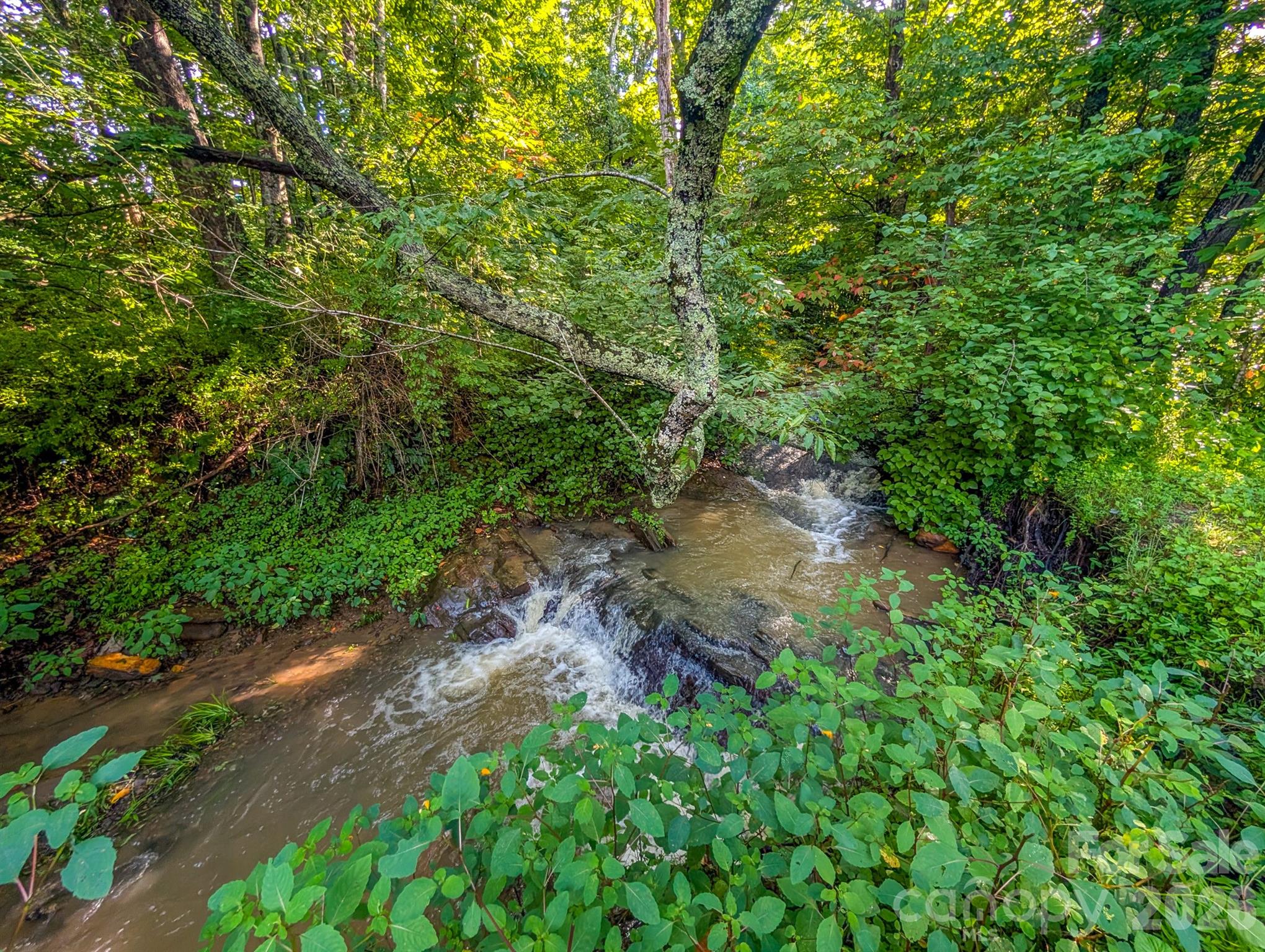 172 Lower Browns Creek Road Property Photo 7