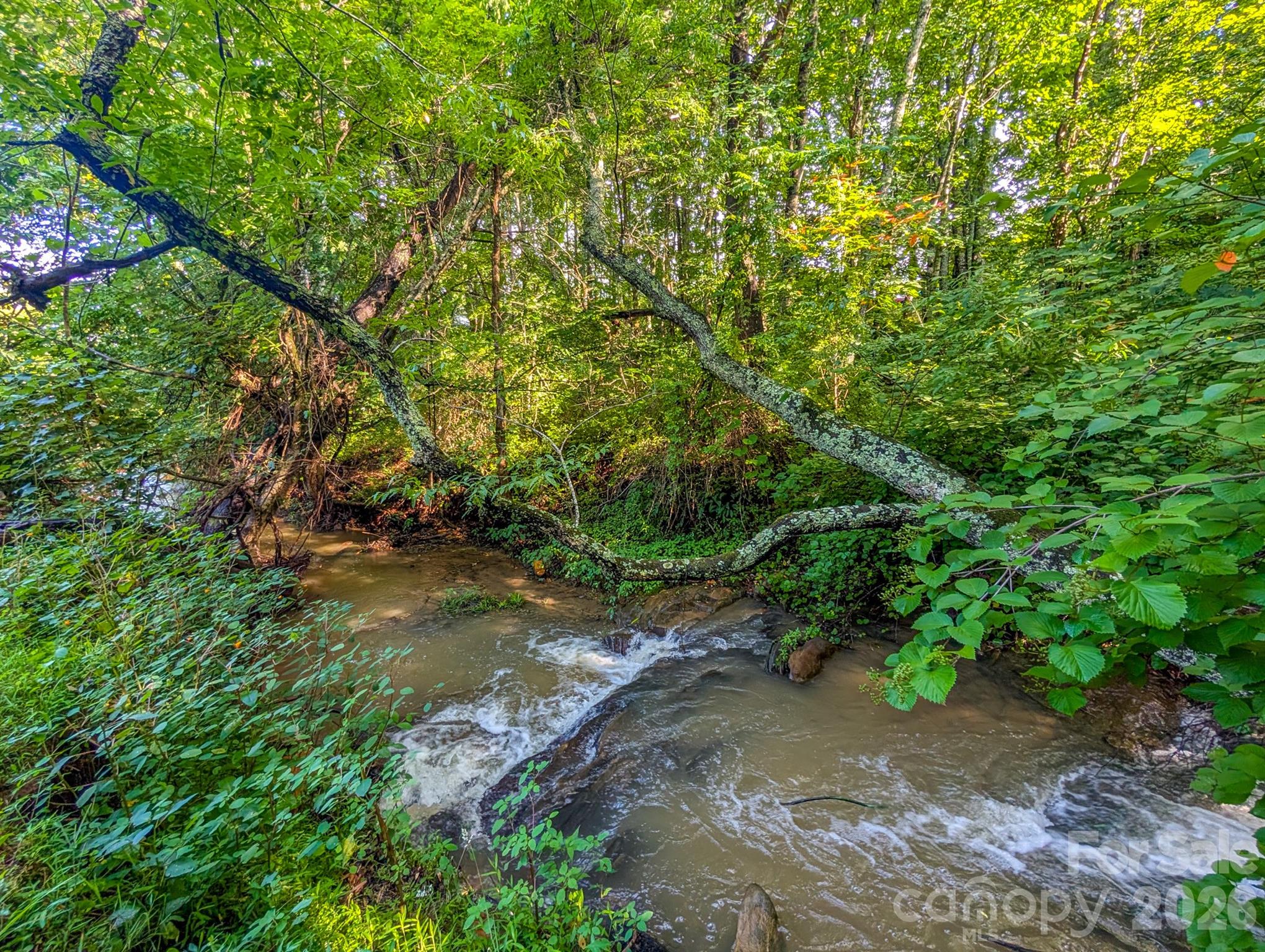 172 Lower Browns Creek Road Property Photo 8