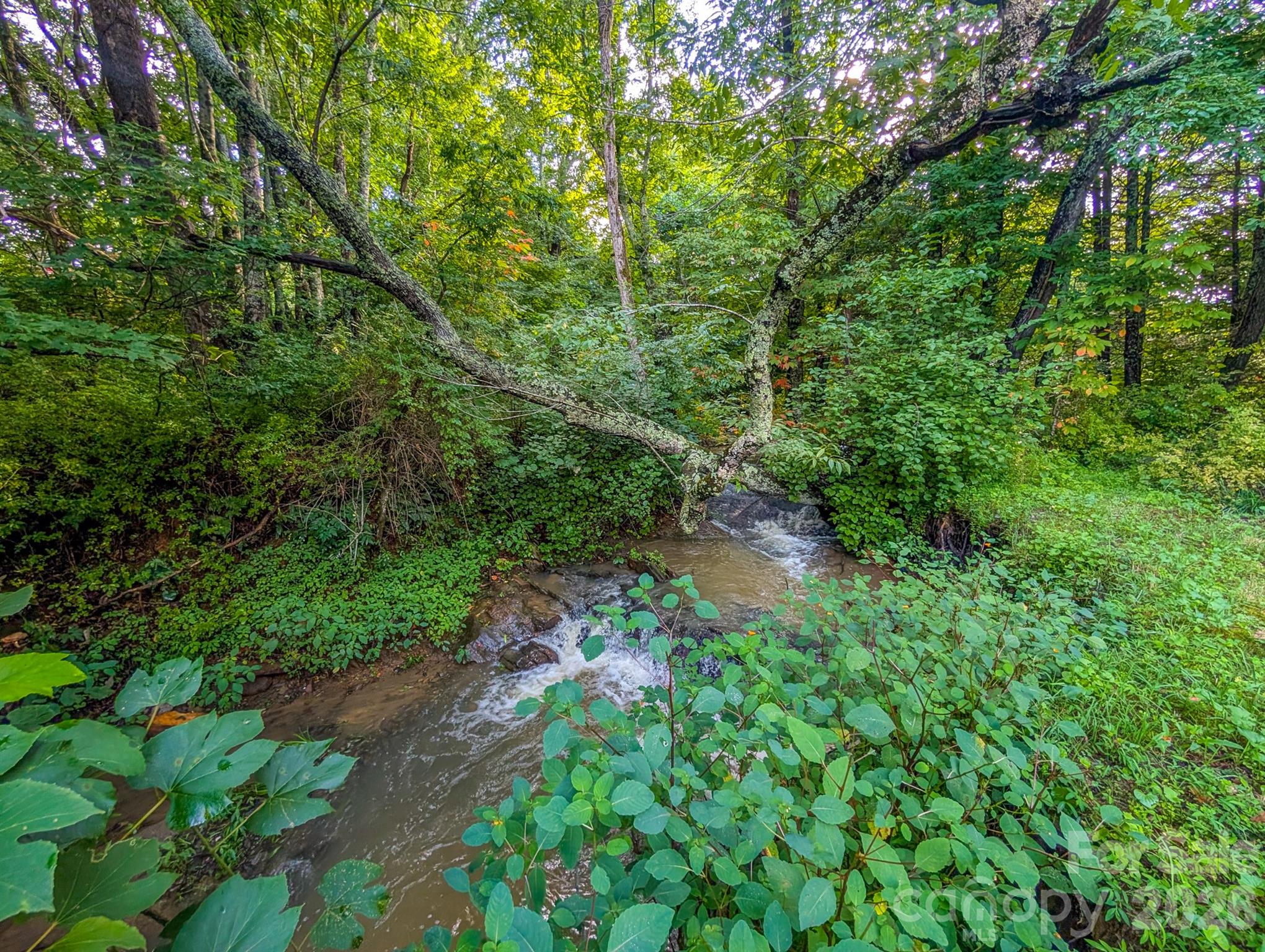 172 Lower Browns Creek Road Property Photo 27