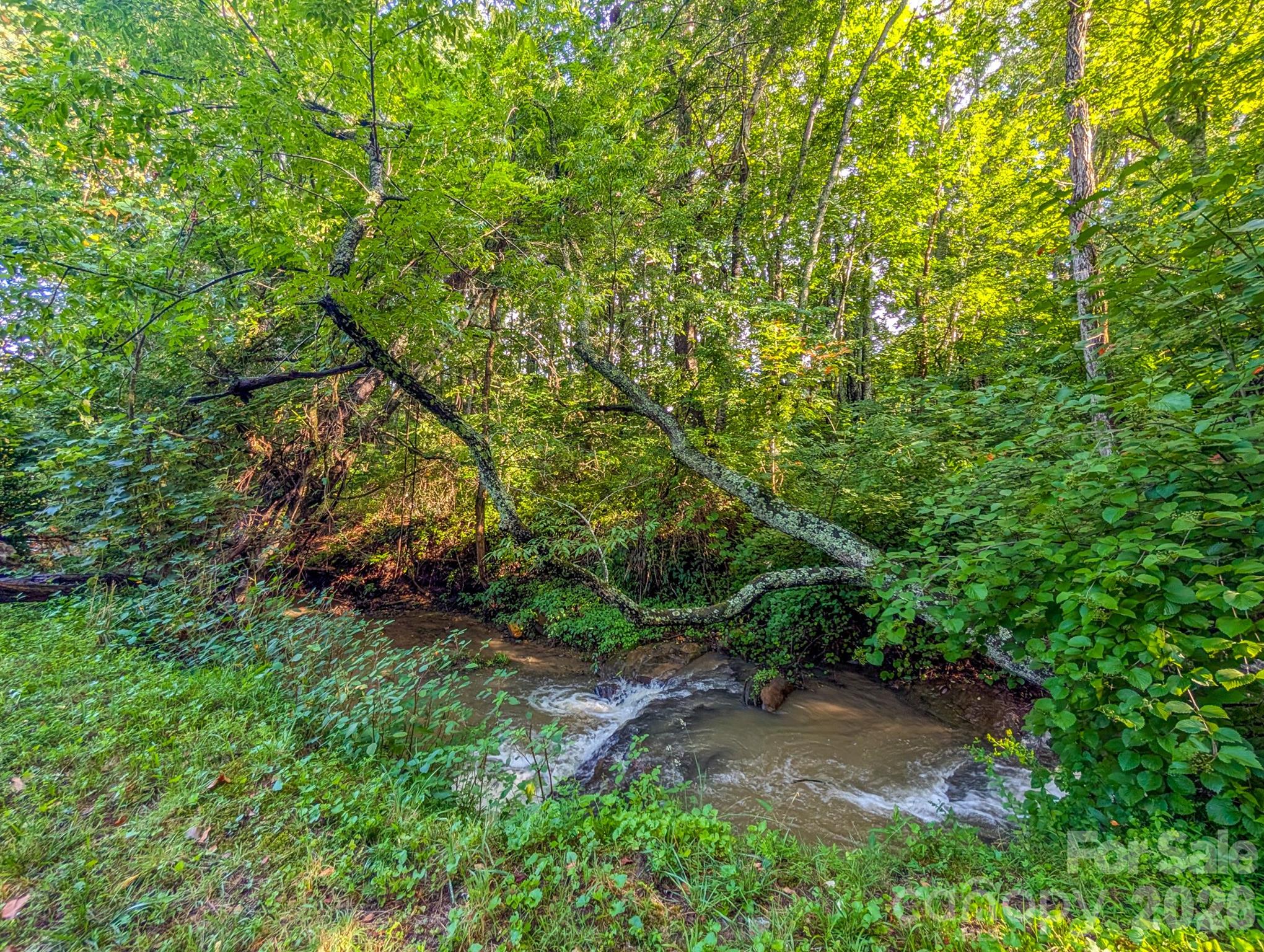 172 Lower Browns Creek Road Property Photo 29