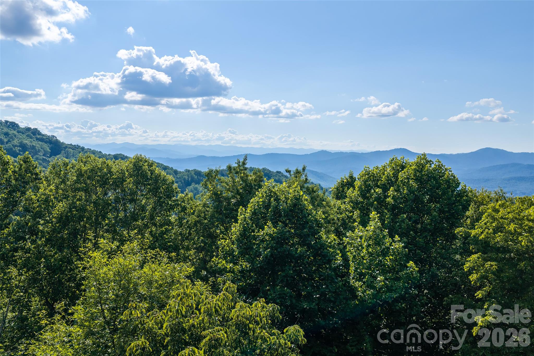 1043 Moss Creek Lane 69 Property Photo 4