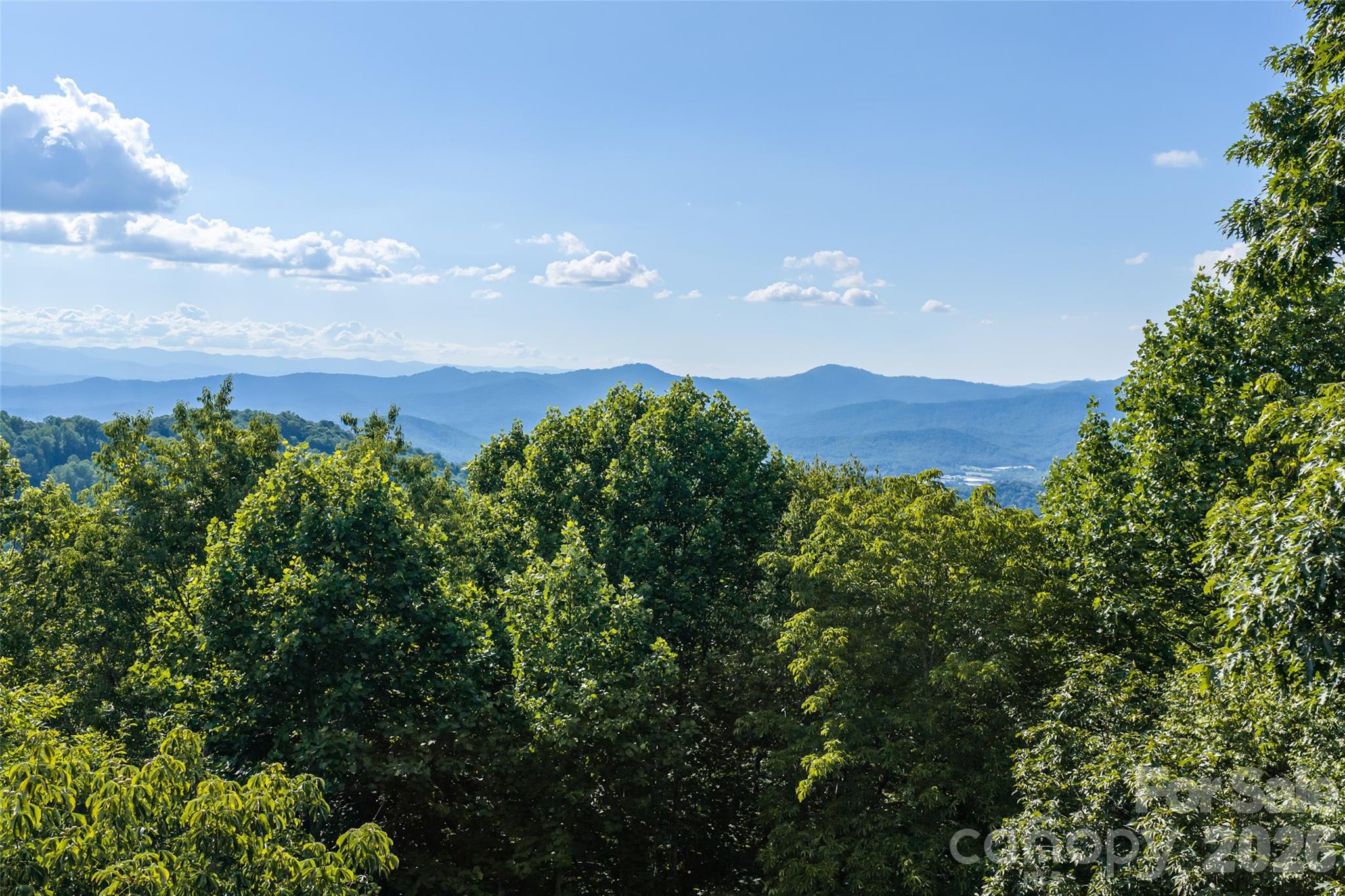 1043 Moss Creek Lane 69 Property Photo 5